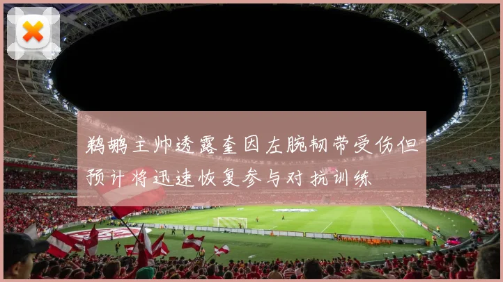 鹈鹕主帅透露奎因左腕韧带受伤但预计将迅速恢复参与对抗训练