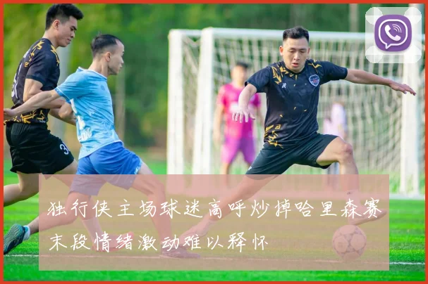 独行侠主场球迷高呼炒掉哈里森赛末段情绪激动难以释怀