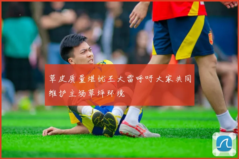 草皮质量堪忧王大雷呼吁大家共同维护主场草坪环境